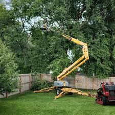 Best Aeration Services  in Elk Rapids, MI